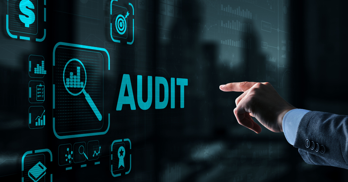 Auditing software per le aziende
