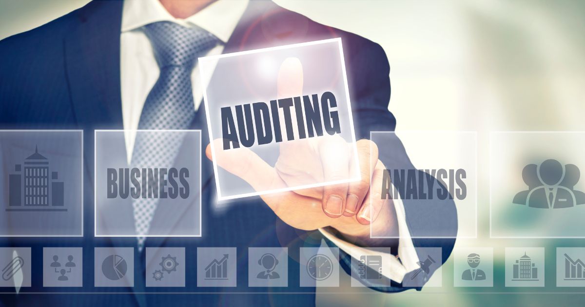 Auditing software