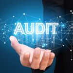 Software gestione audit
