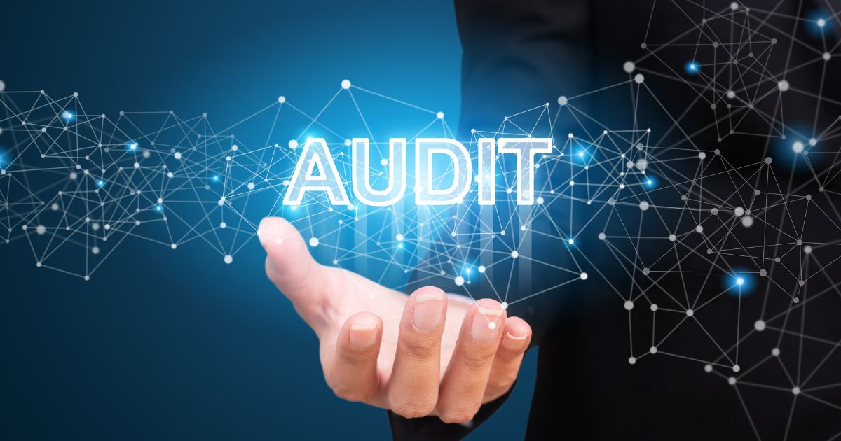 Software gestione audit per ottimizzare il processo